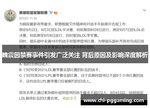 魏震因禁赛事件引发广泛关注 背后原因及影响深度解析