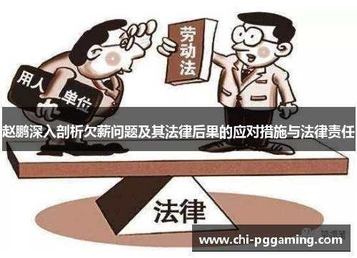 赵鹏深入剖析欠薪问题及其法律后果的应对措施与法律责任