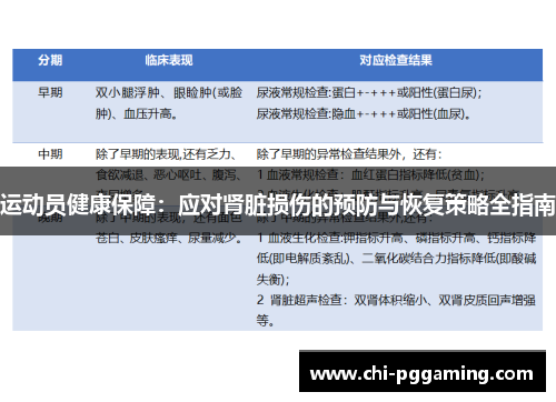 运动员健康保障：应对肾脏损伤的预防与恢复策略全指南