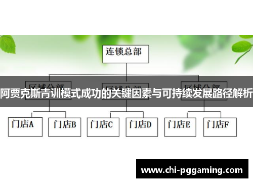 阿贾克斯青训模式成功的关键因素与可持续发展路径解析