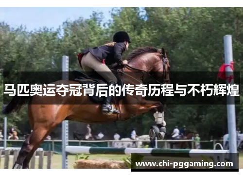 马匹奥运夺冠背后的传奇历程与不朽辉煌