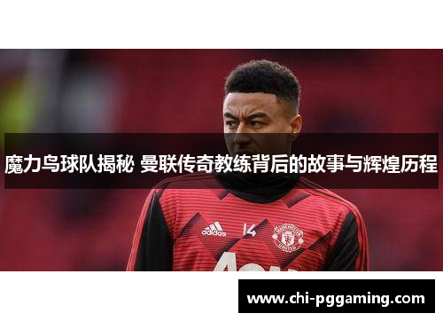 魔力鸟球队揭秘 曼联传奇教练背后的故事与辉煌历程