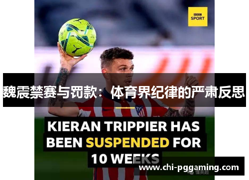 魏震禁赛与罚款：体育界纪律的严肃反思