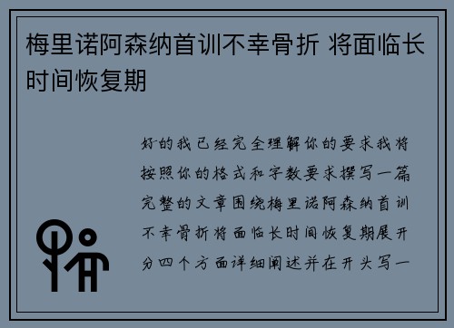 梅里诺阿森纳首训不幸骨折 将面临长时间恢复期