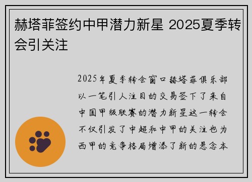 赫塔菲签约中甲潜力新星 2025夏季转会引关注